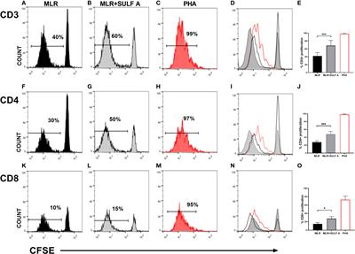 The immunoregulatory effect of the TREM2-agonist Sulfavant A in human allogeneic mixed lymphocyte reaction